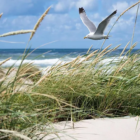 Apartamento In Het Zoute Near The *